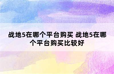 战地5在哪个平台购买 战地5在哪个平台购买比较好